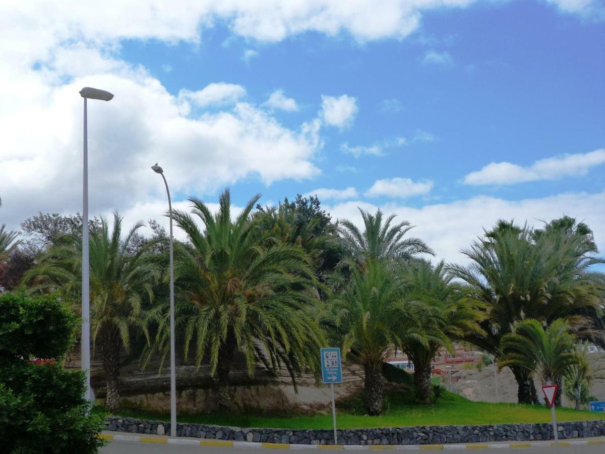 Playa De Fanabe Mareverde أذيخي المظهر الخارجي الصورة