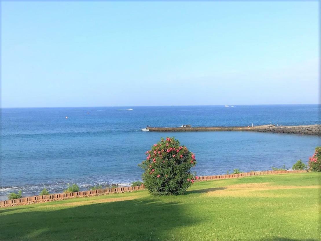Playa De Fanabe Mareverde أذيخي المظهر الخارجي الصورة